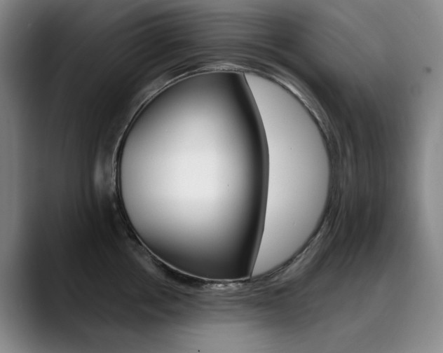X0000090500858200707130948