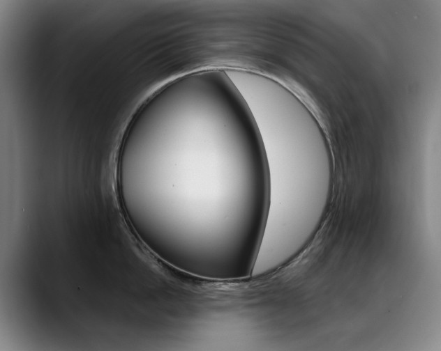 X0000090500862200707130948