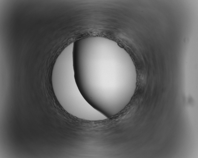 X0000090500865200707130947