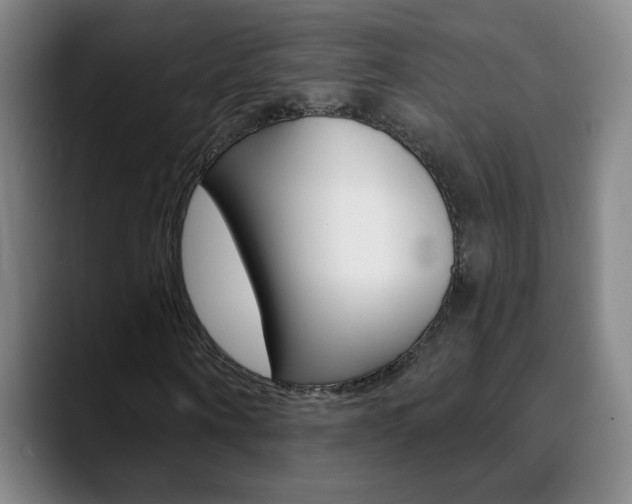 X0000090500866200707130947