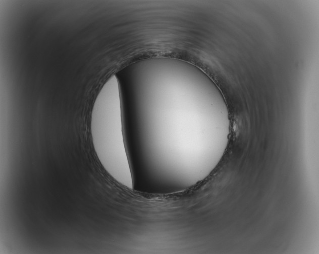 X0000090500867200707130947