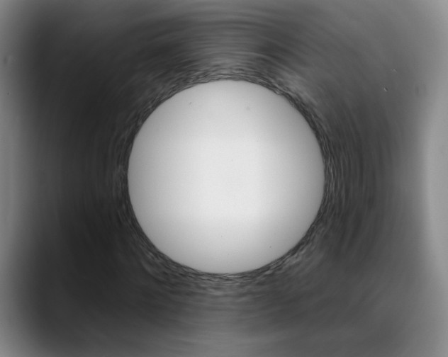 X0000090500868200707130947