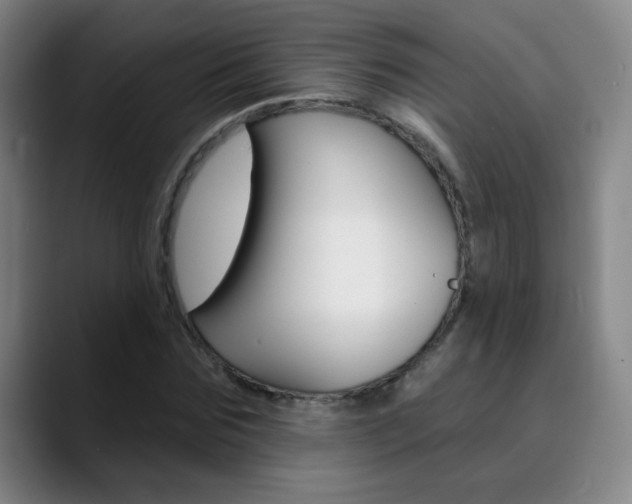 X0000090500875200707130947