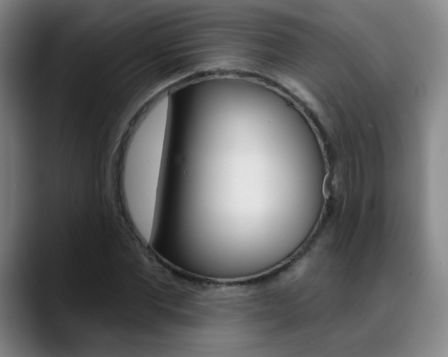 X0000090500877200707130947