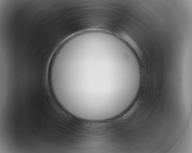 X0000090500884200707130947
