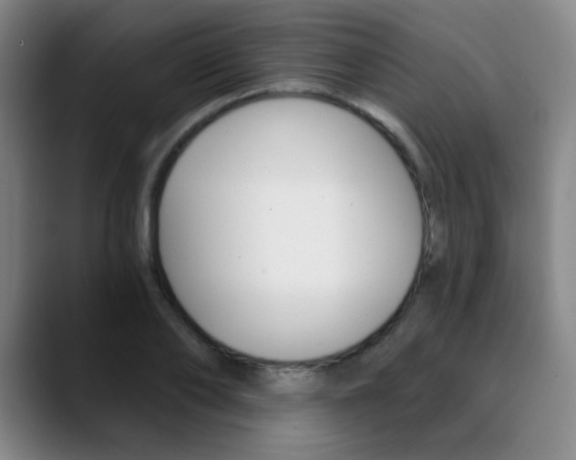 X0000090500886200707130947