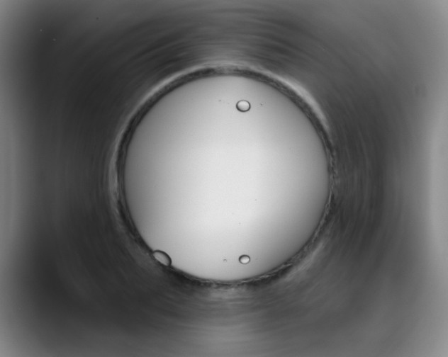X0000090500887200707130947
