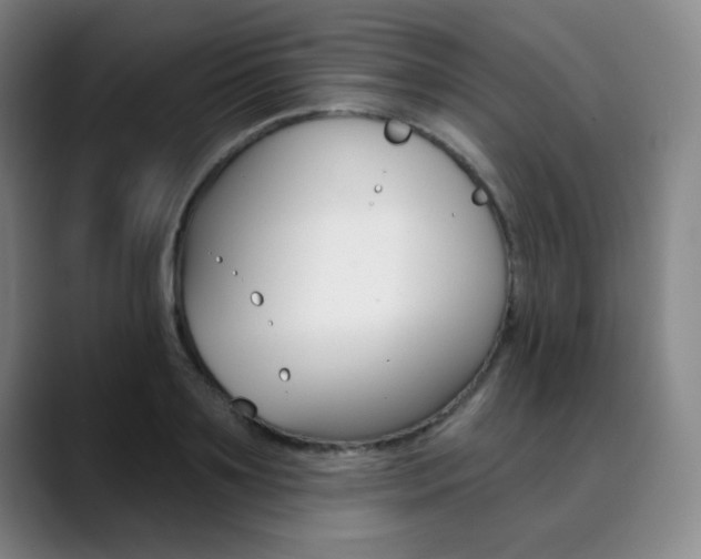 X0000090500891200707130947