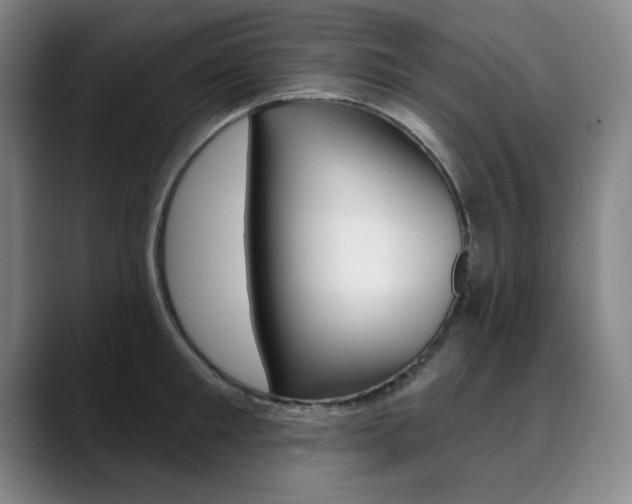 X0000090500901200707130947