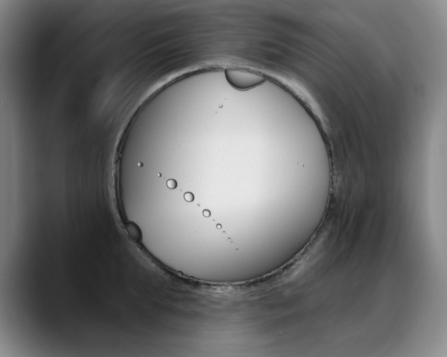 X0000090500903200707130947