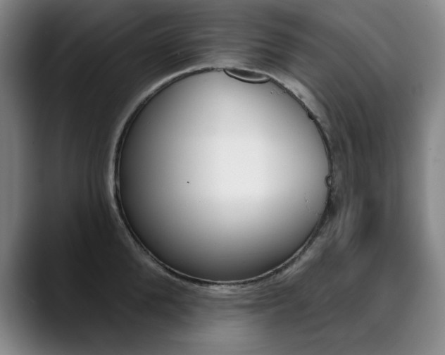 X0000090500904200707130947