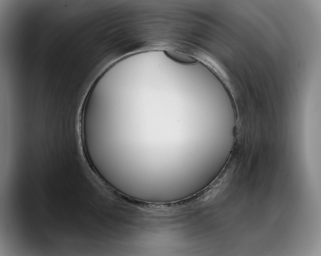 X0000090500907200707130947