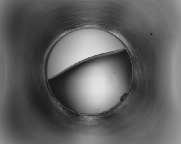 X0000090500910200707130947