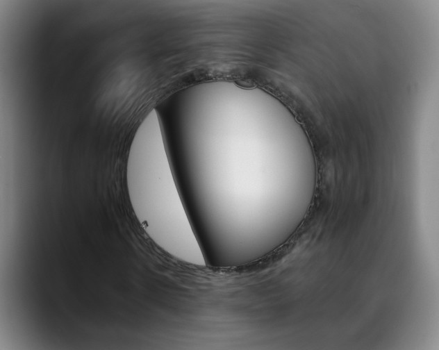 X0000090500914200707130946