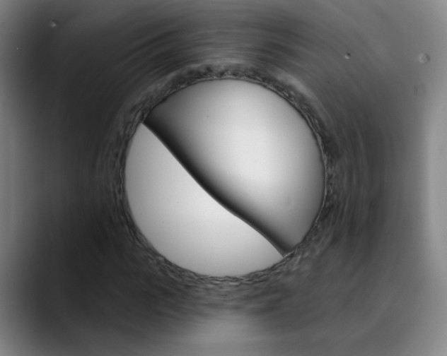 X0000090500919200707130946