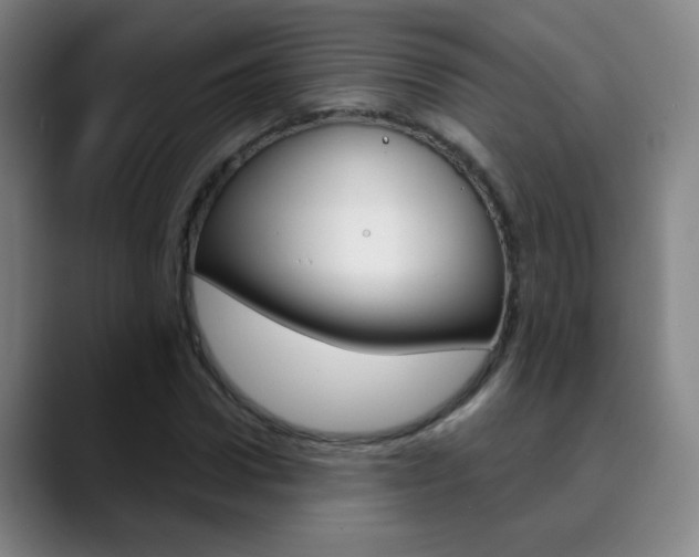 X0000090500922200707130946