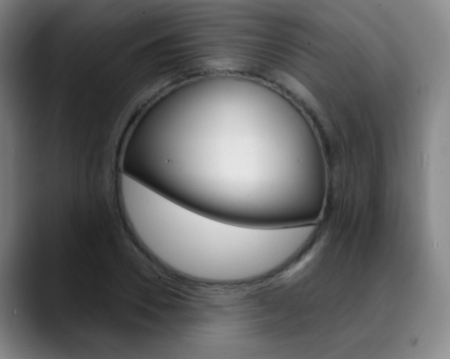 X0000090500930200707130946