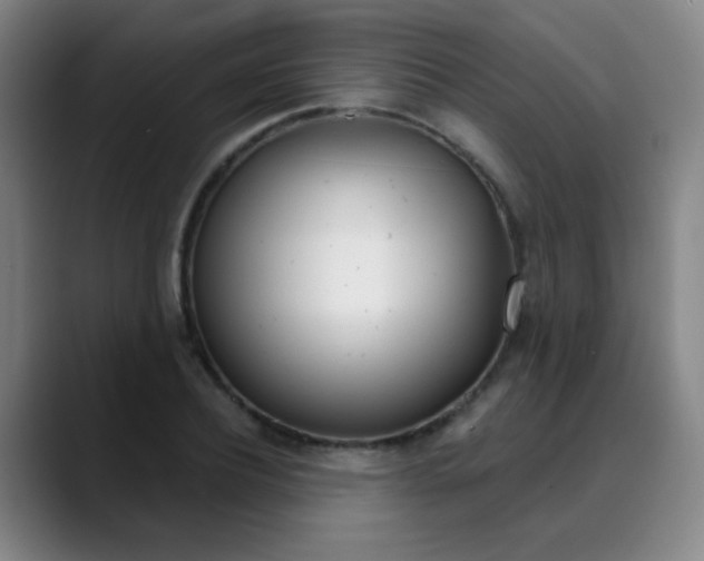 X0000090500932200707130946