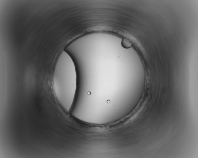 X0000090500937200707130946