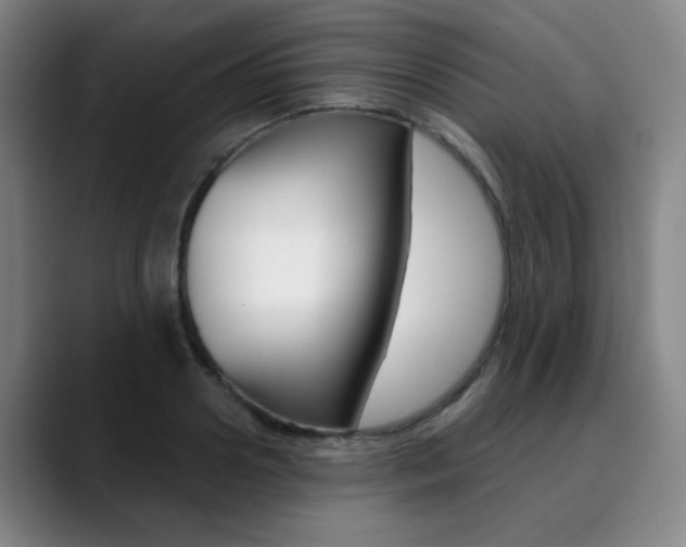 X0000090500938200707130946