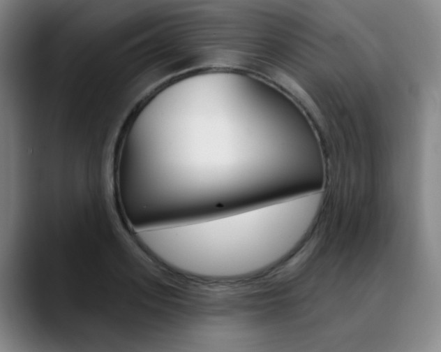 X0000090500939200707130946