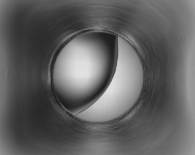 X0000090500940200707130946