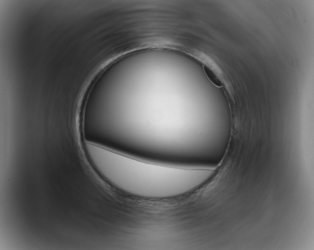 X0000090500947200707130946