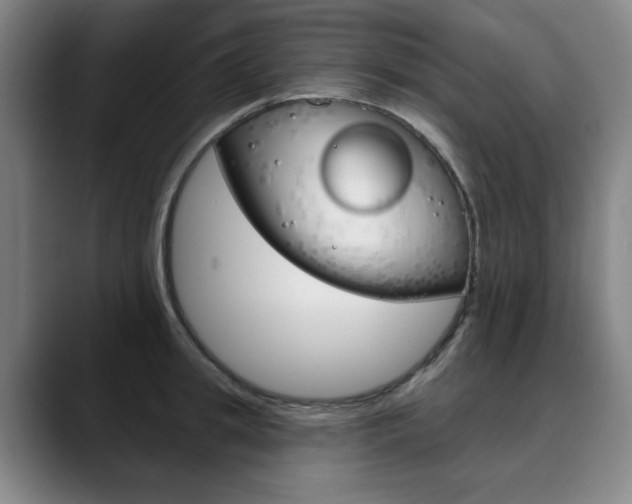 X0000090500949200707130946