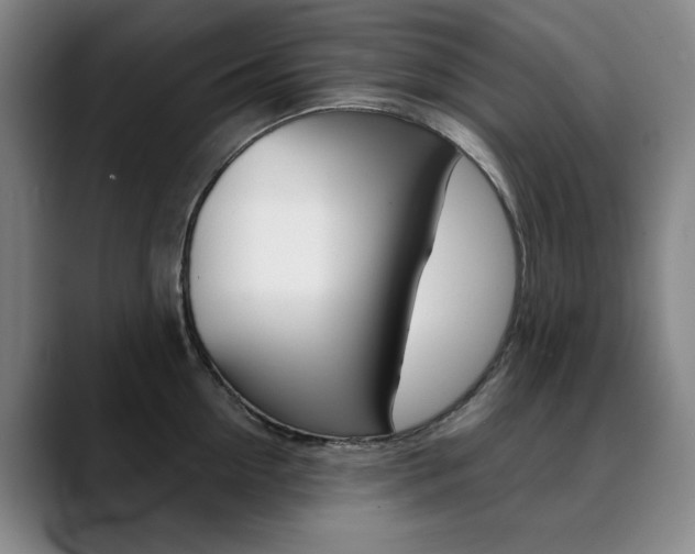 X0000090500954200707130947
