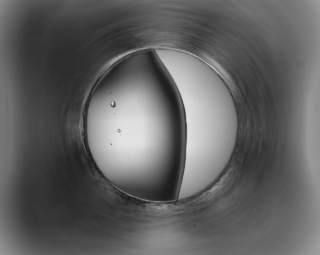 X0000090500956200707130947