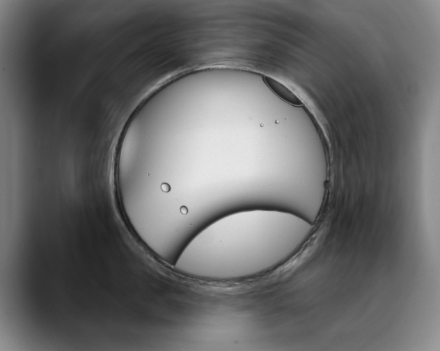 X0000090500957200707130947