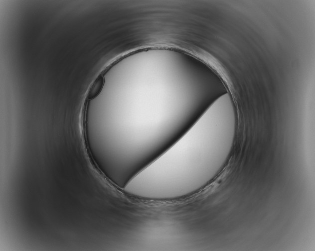 X0000090500958200707130947