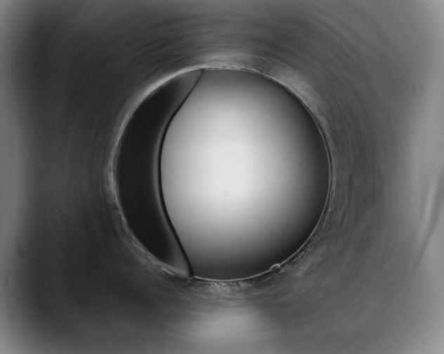 X0000090500960200707130947