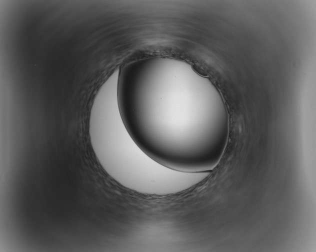 X0000090500965200707130946
