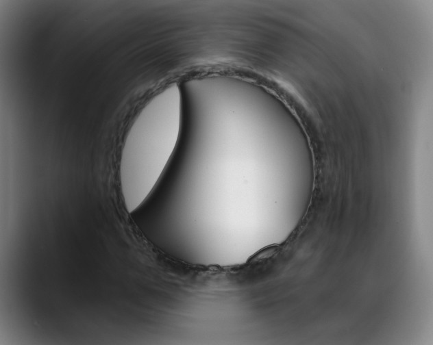 X0000090500967200707130946