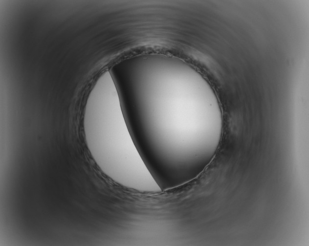 X0000090500968200707130946
