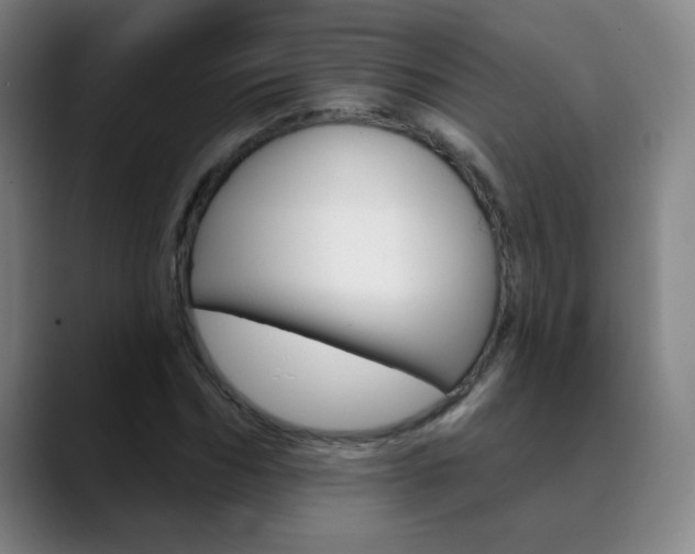 X0000090500970200707130946
