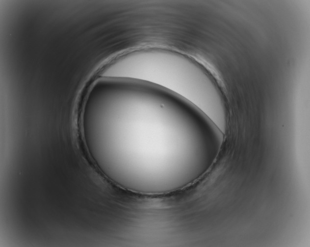 X0000090500976200707130946