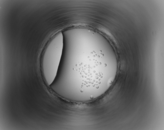 X0000090500978200707130946