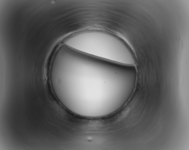 X0000090500979200707130946