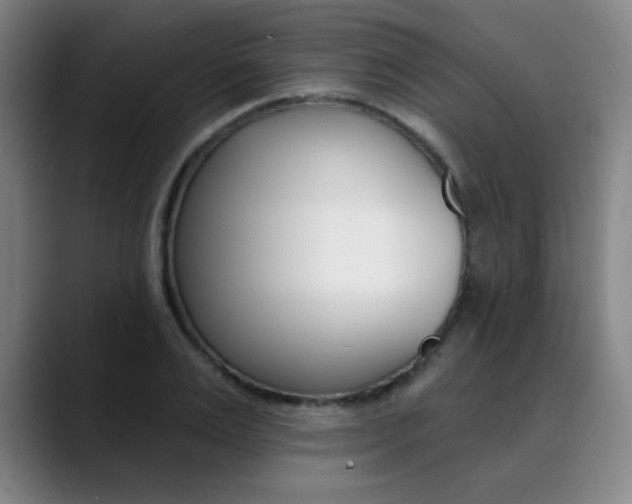 X0000090500983200707130946