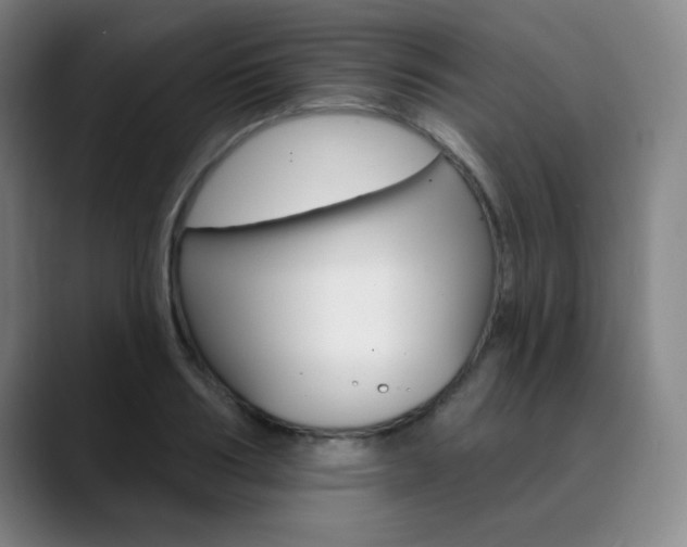 X0000090500986200707130946
