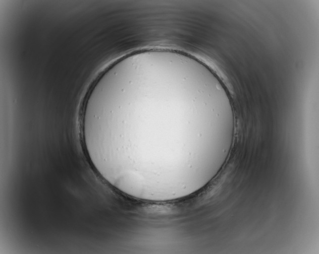 X0000090500998200707130946
