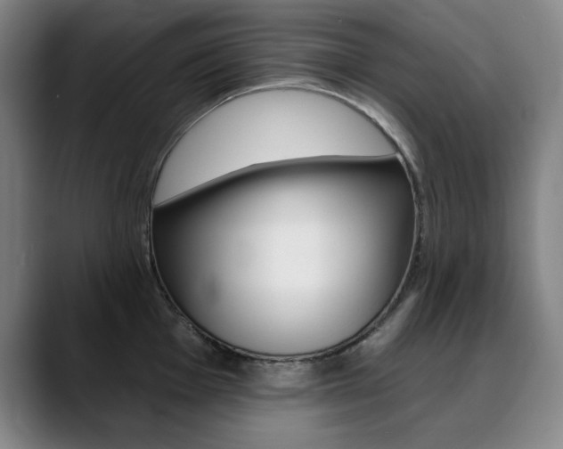 X0000090501001200707130946