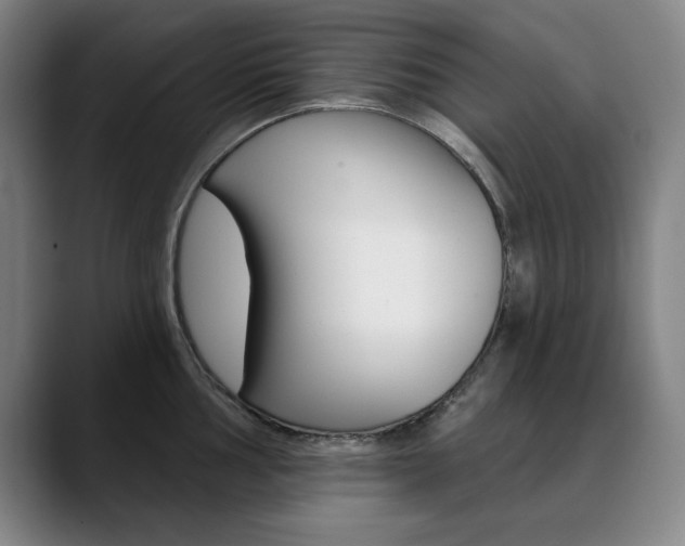 X0000090501002200707130946