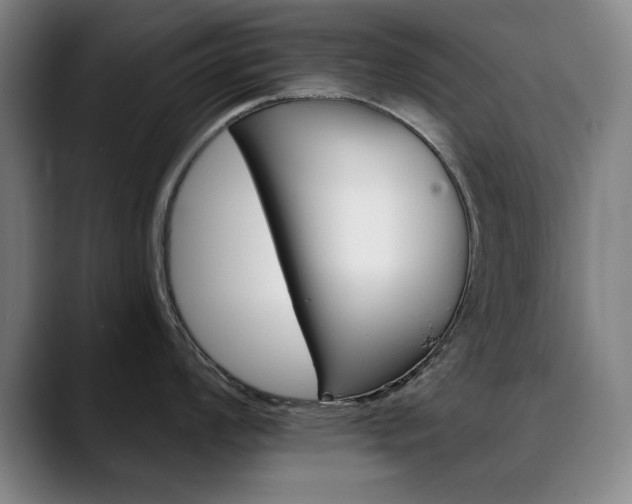 X0000090501008200707130946