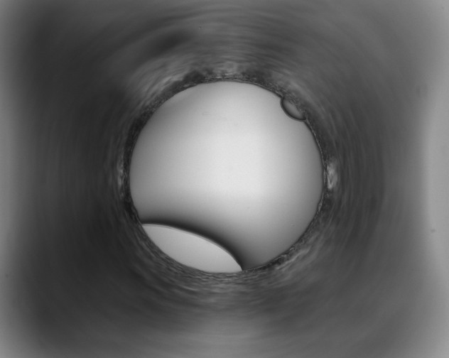 X0000090501011200707130945