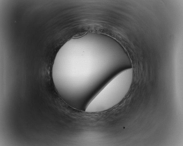 X0000090501013200707130945