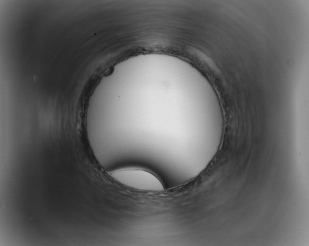 X0000090501016200707130945