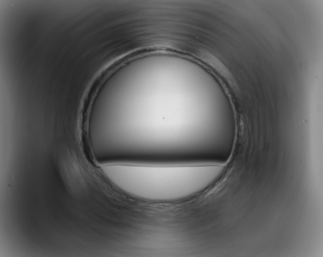 X0000090501020200707130945